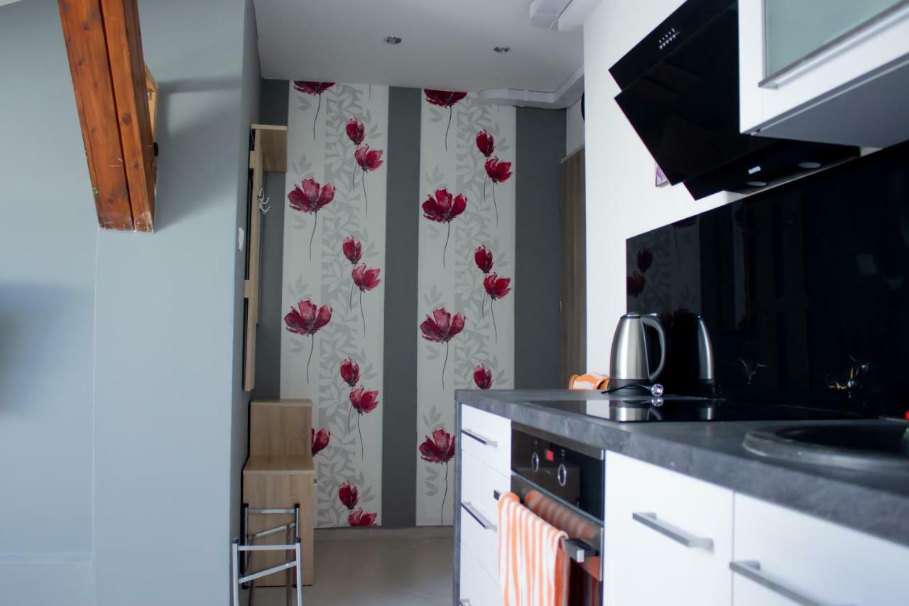Apartament Stawowa チェシン エクステリア 写真